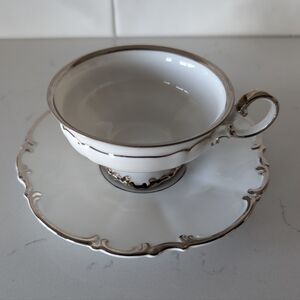 Hutschenreuther Selb Revere Sylvia Platinum Trim Teacup & Saucer Set